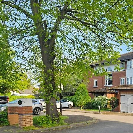 Апартаменты Lovely Flat Close To Shepherd'S Bush Лондон Экстерьер фото